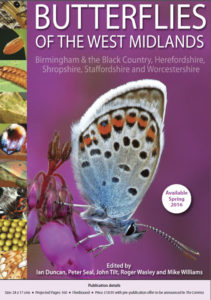 Butterflies of West Midland_Credit Butterfly Conservation