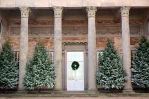 Christmas trees at Compton Verney LR