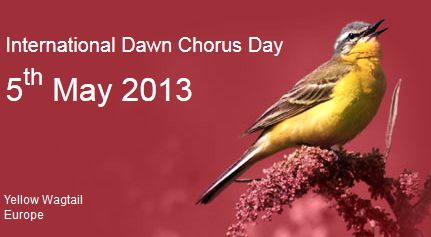 Dawn Chorus Day