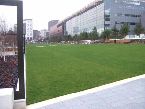 The lawn in front of Millennium Point