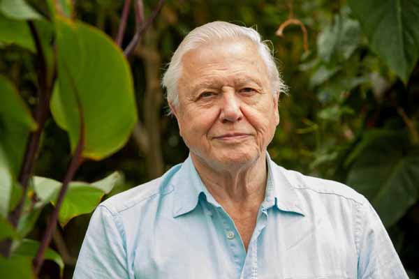 Sir David Attenborough - Copyright: Helen Atkinson / Yellowsnapper 2012