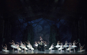 Swan Lake - Artists of Birmingham Royal Ballet ©Bill Cooper (2)