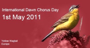 International Dawn Chorus Day