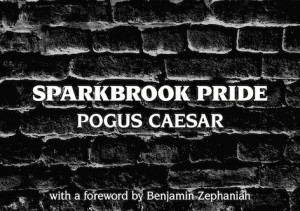 Sparkbrook Pride